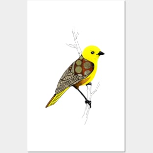 Mohua / Yellowhead Bird Posters and Art